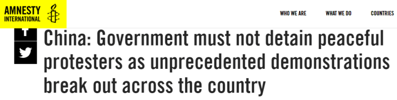 Amnesty International is now supporting Chinese protesters instead of Canadian protesters.