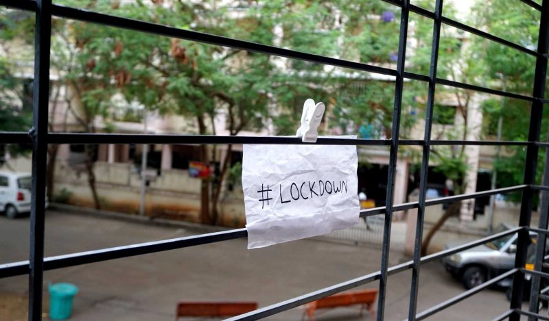 lockdowns did nothing