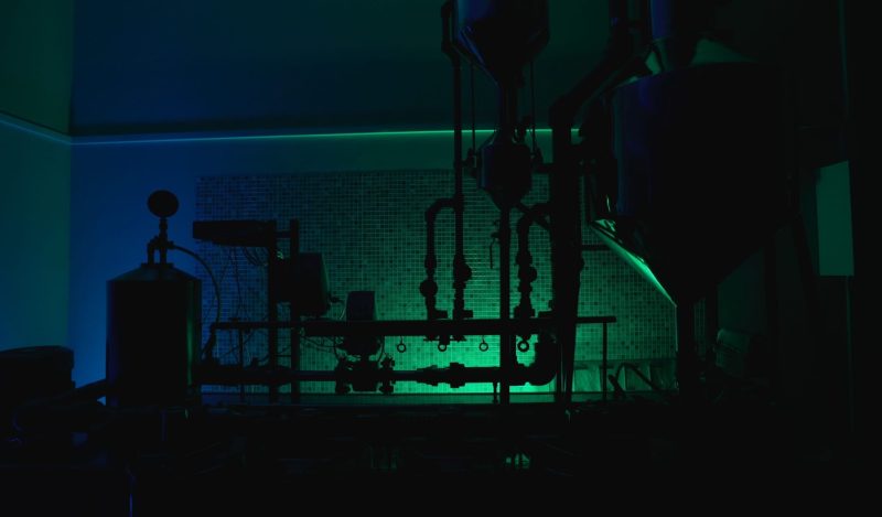 Is ‘Avian Flu’ Anything to Fear?