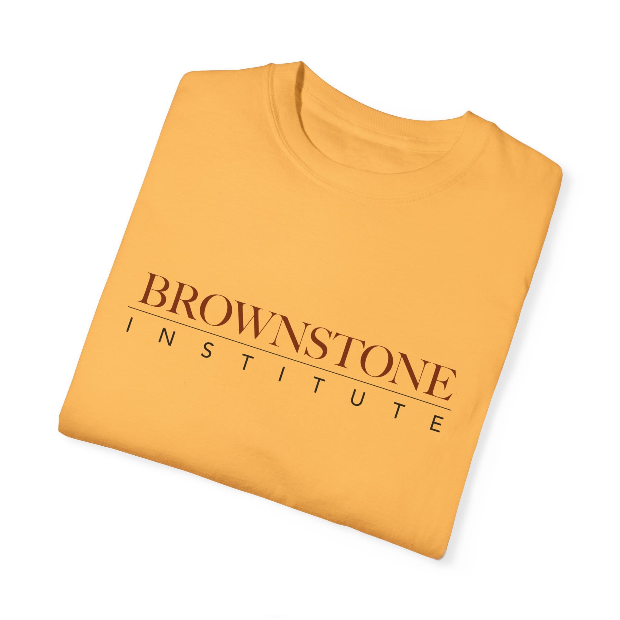 Brownstone Institute T-shirt (Light Colors) - Image 21