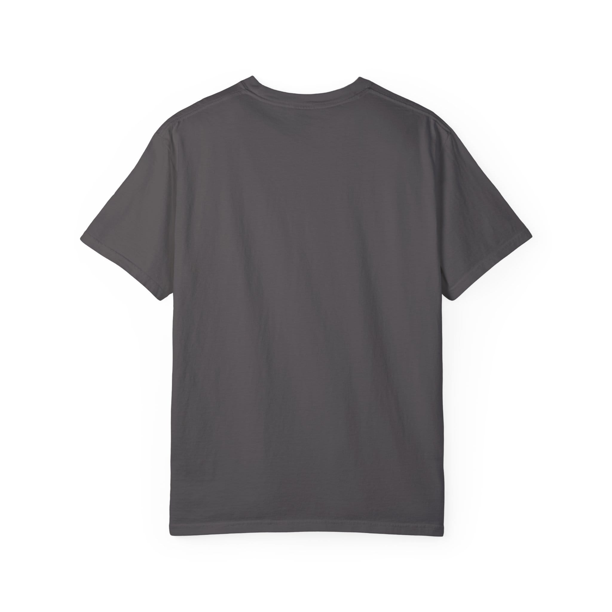 Brownstone Institute T-Shirt (Dark Colors) - Image 38
