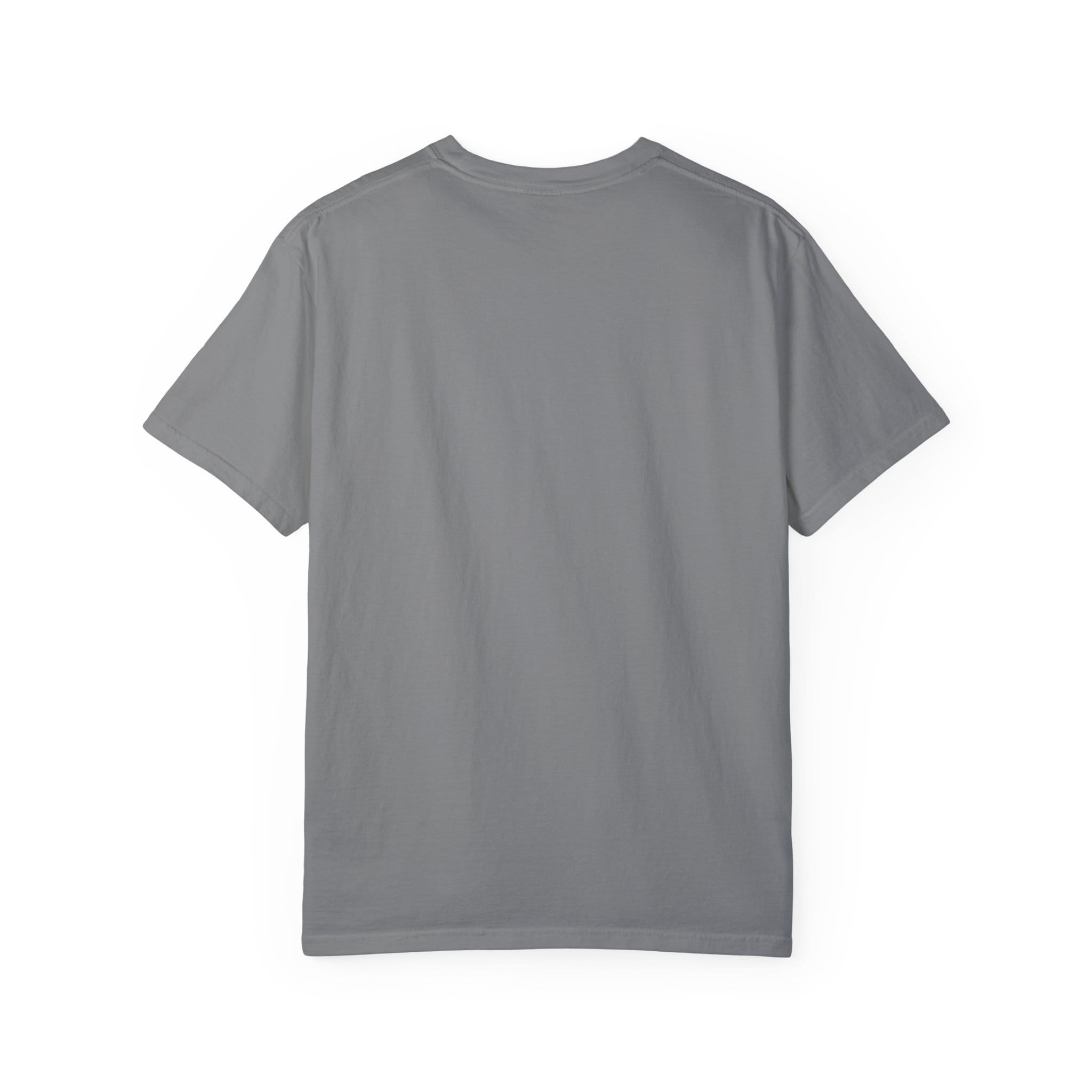Brownstone Institute T-Shirt (Dark Colors) - Image 26