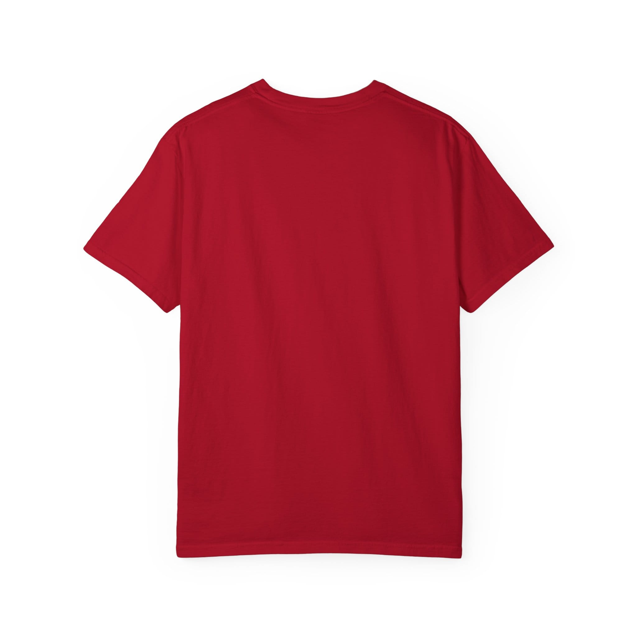 Brownstone Institute T-Shirt (Dark Colors) - Image 56