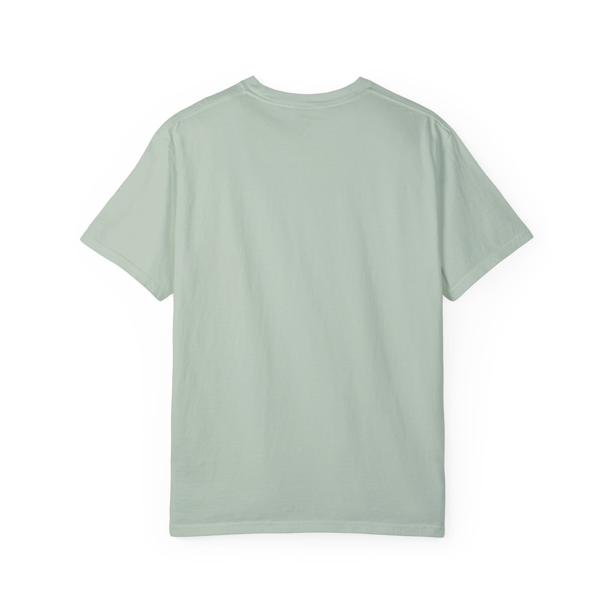 Brownstone Institute T-shirt (Light Colors) - Image 26