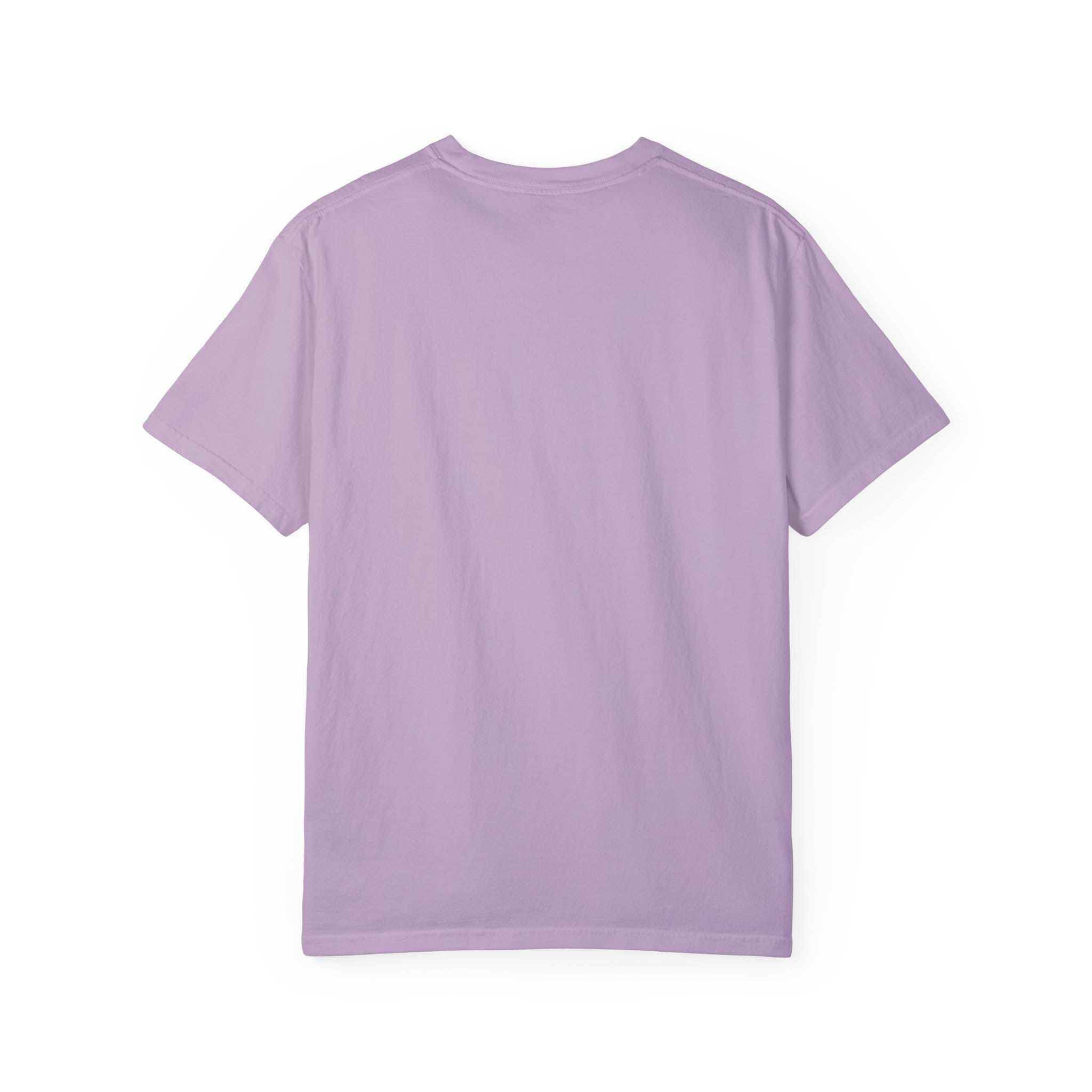 Brownstone Institute T-shirt (Light Colors) - Image 32