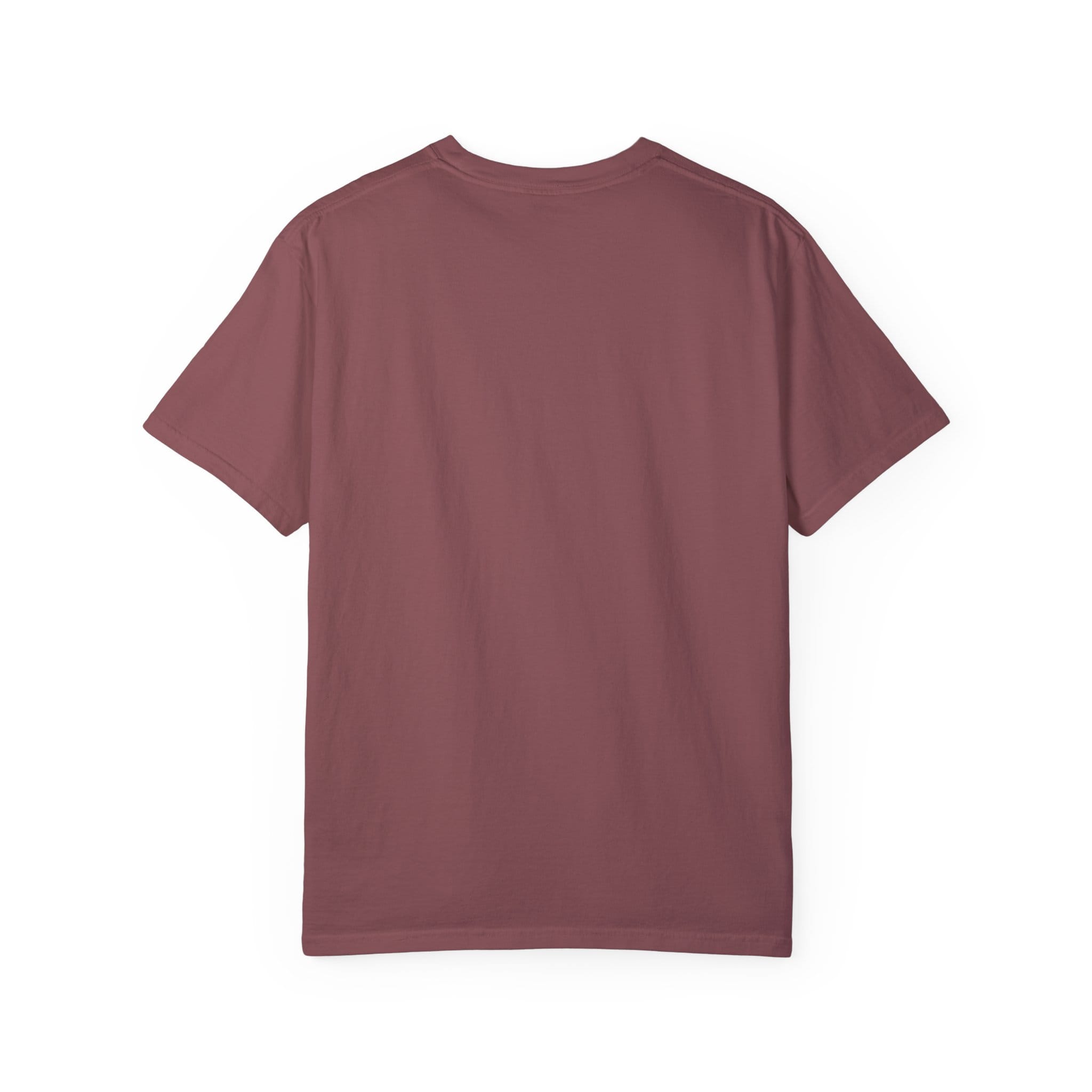 Brownstone Institute T-Shirt (Dark Colors) - Image 2