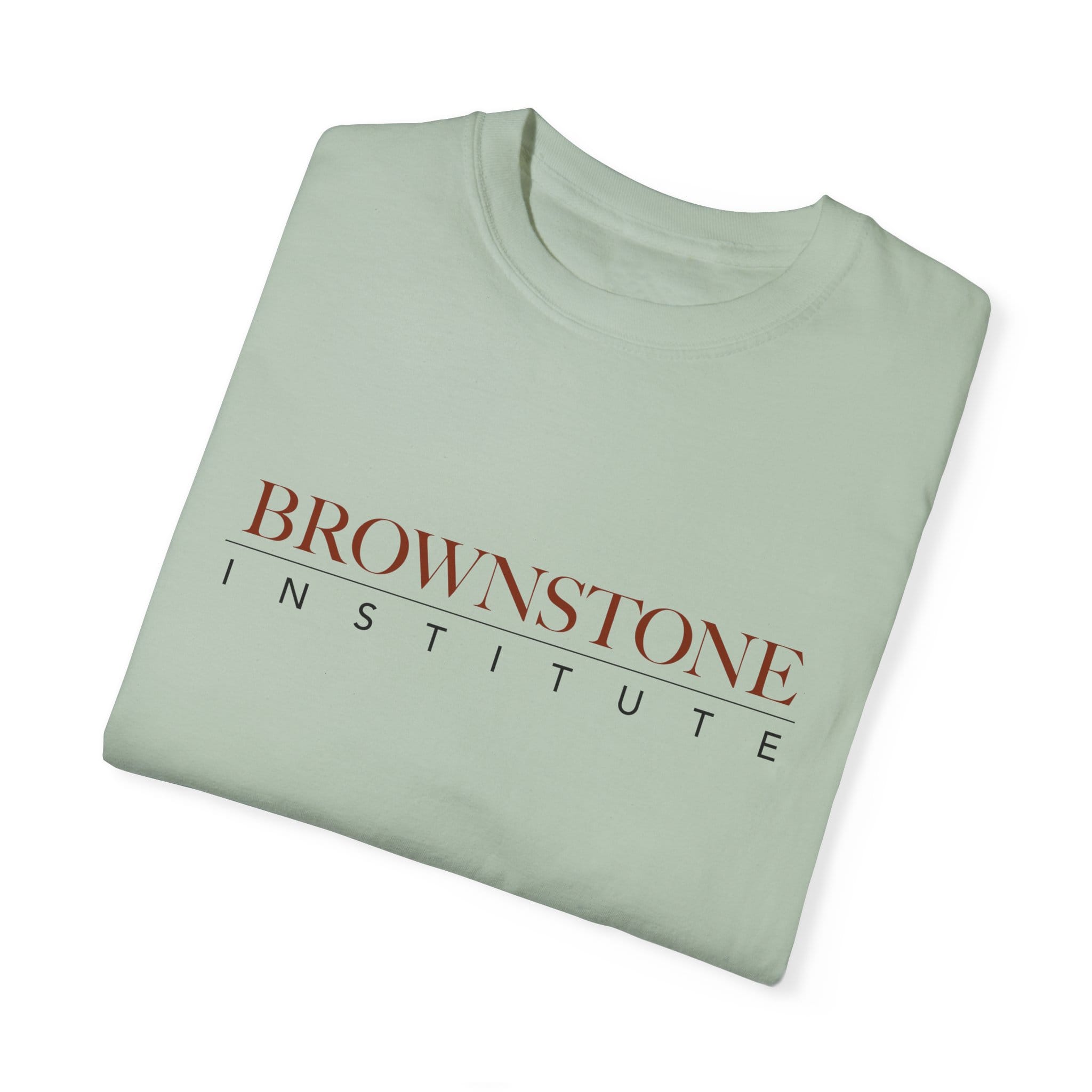 Brownstone Institute T-shirt (Light Colors) - Image 27