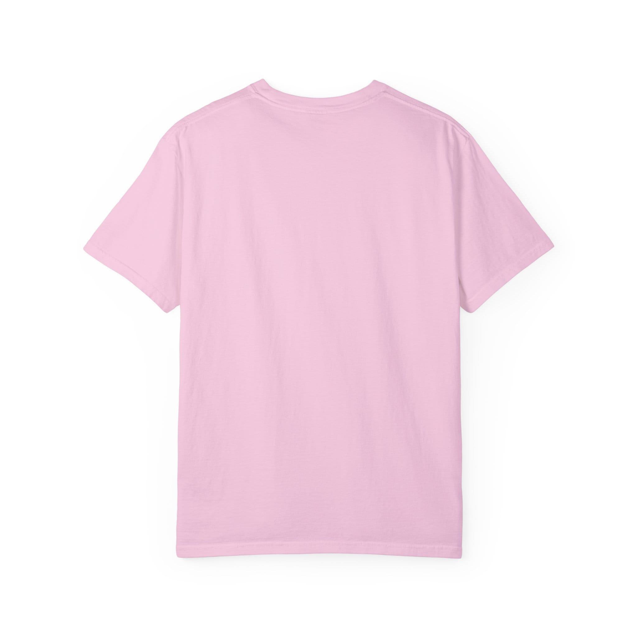 Brownstone Institute T-shirt (Light Colors) - Image 38