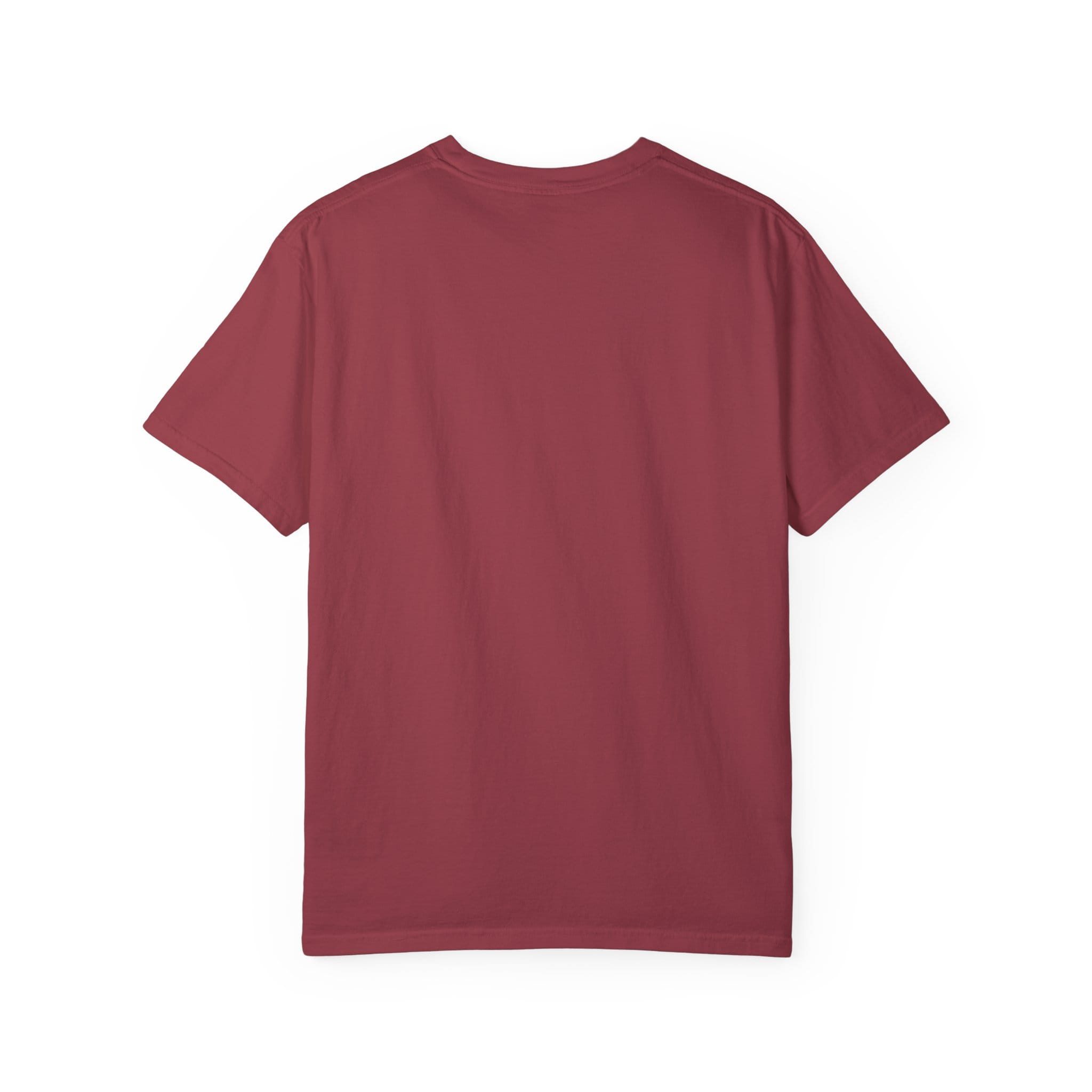 Brownstone Institute T-Shirt (Dark Colors) - Image 50