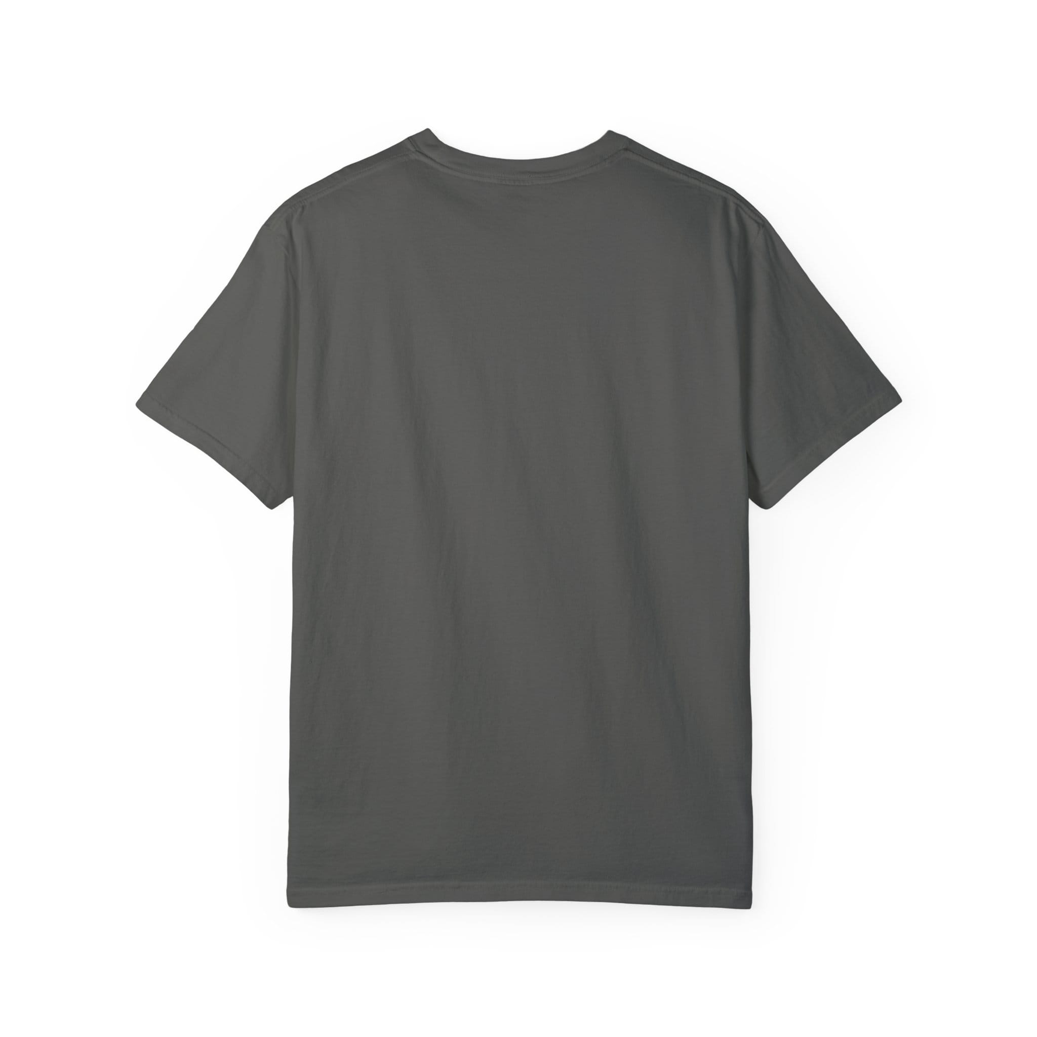 Brownstone Institute T-Shirt (Dark Colors) - Image 20