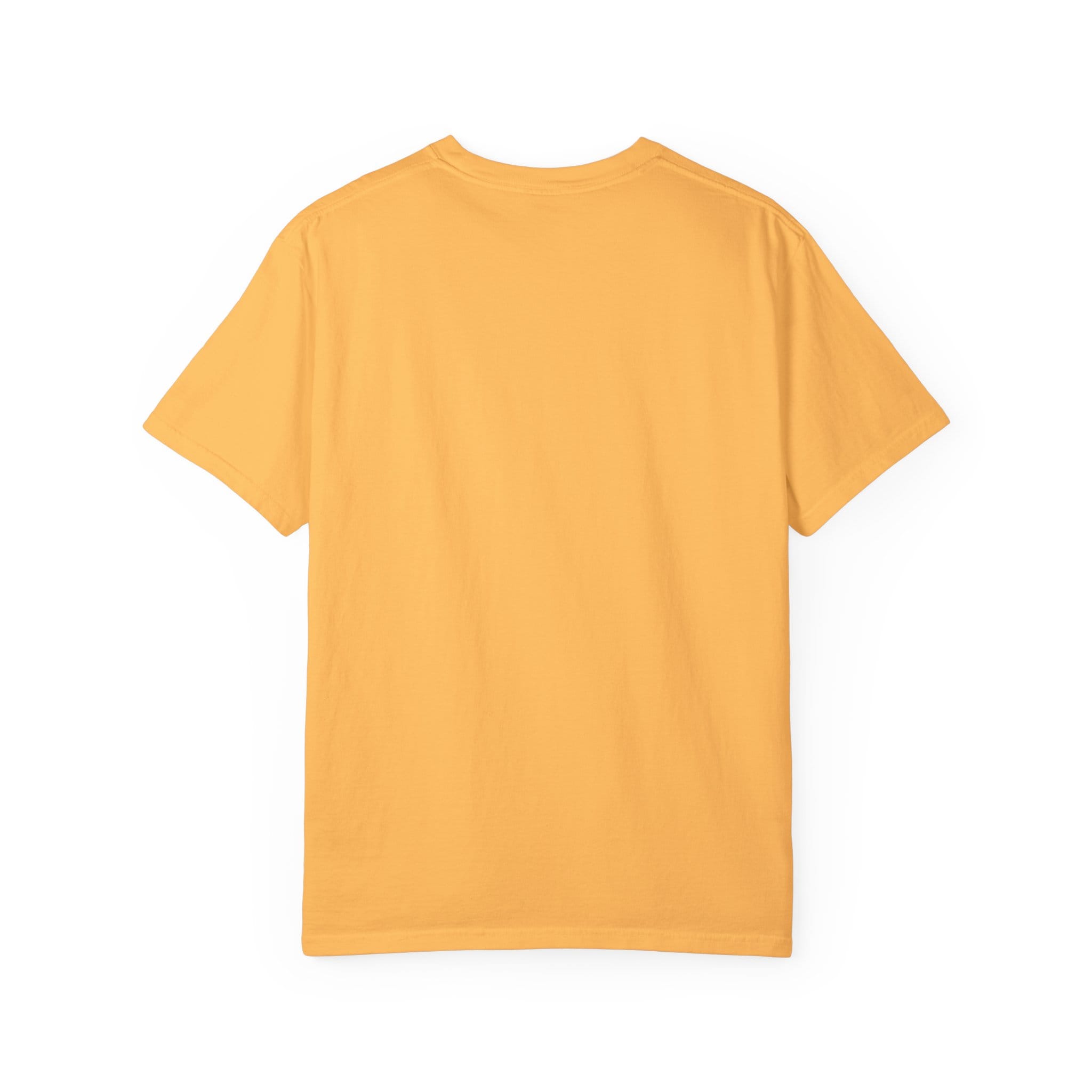 Brownstone Institute T-shirt (Light Colors) - Image 20
