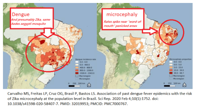 Brazil Mosquitos