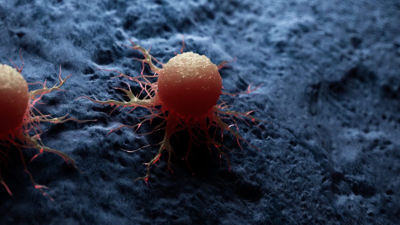 When Early Cancer Warnings Are Ignored