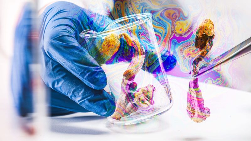 Medicalization of Our Spiritual Life