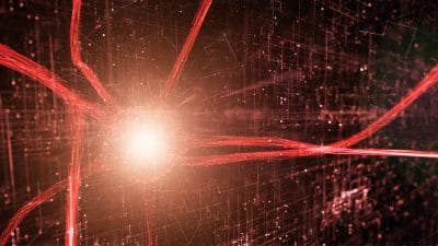 Reflections on Brain Death, Hope, and the Limits of Certainty