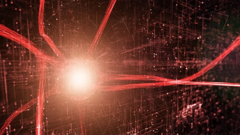Reflections on Brain Death, Hope, and the Limits of Certainty